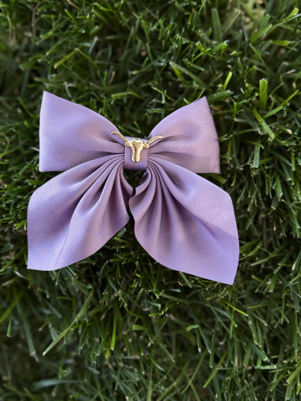 Show Longhorn Bow