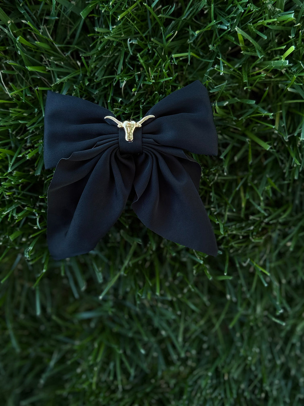 Show Longhorn Bow