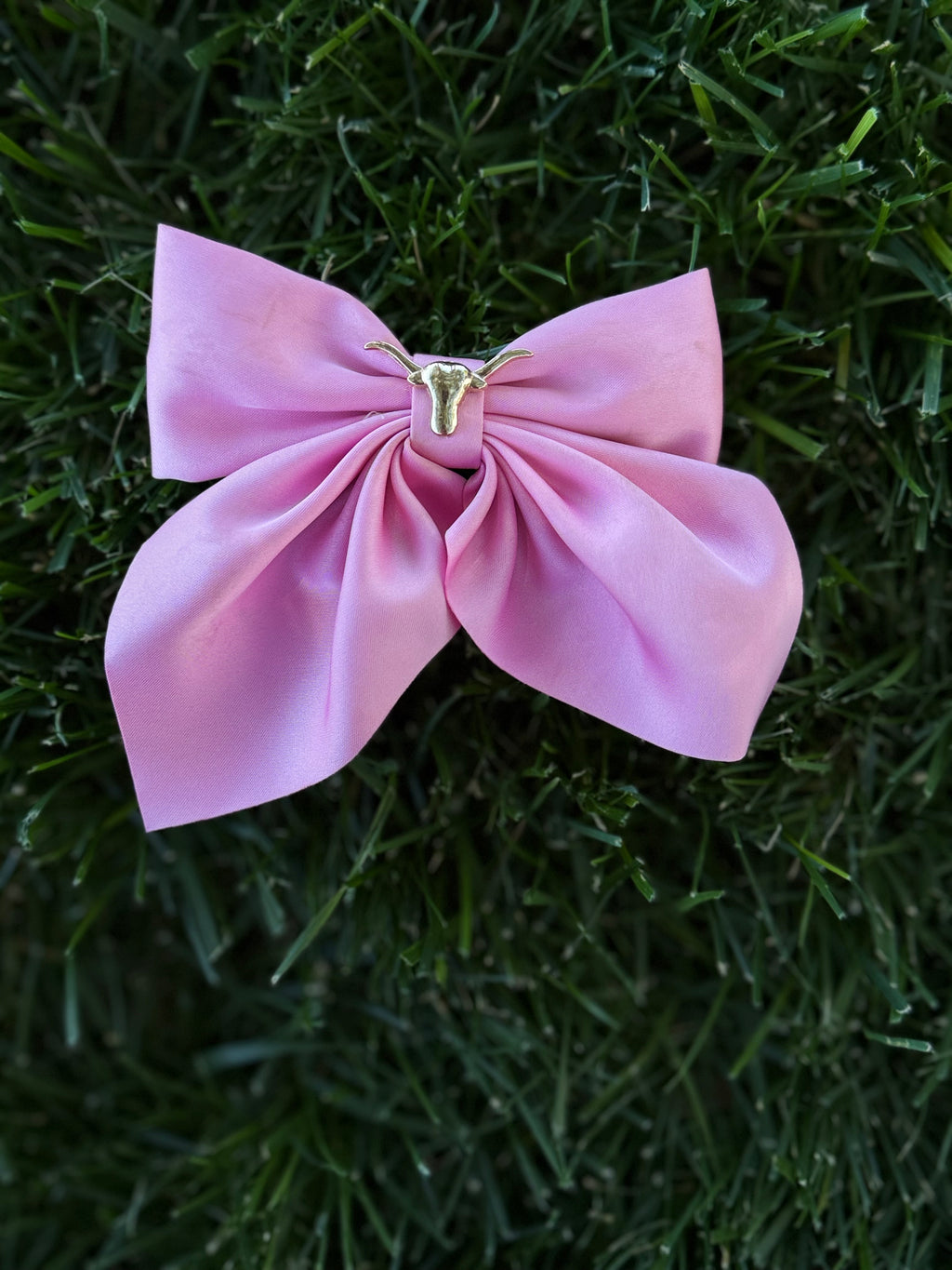 Show Longhorn Bow